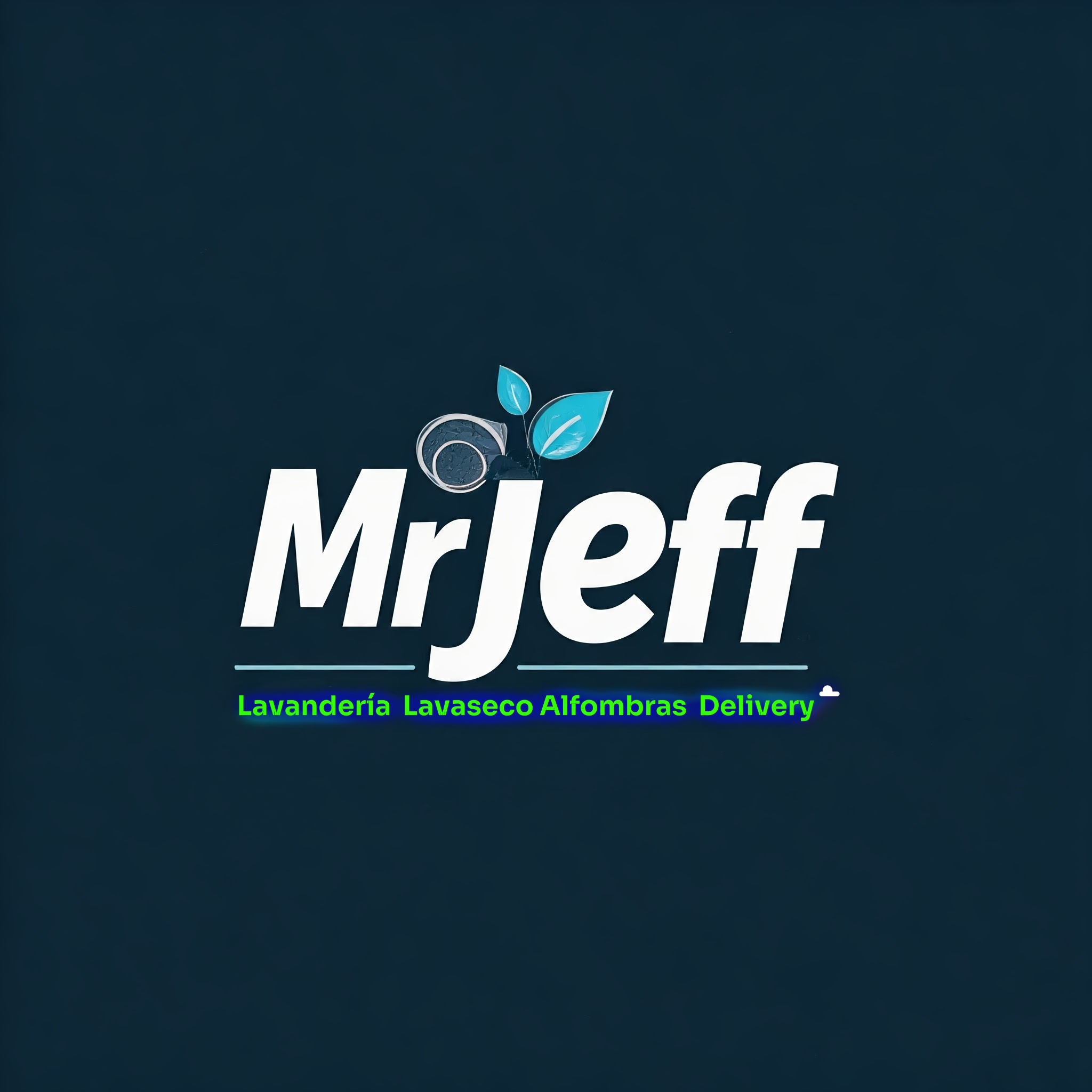 Lavanderia y Lavaseco Mr.Jeff